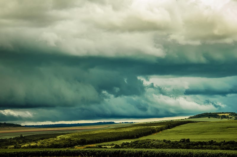 Avoiding Temporal Distortions
