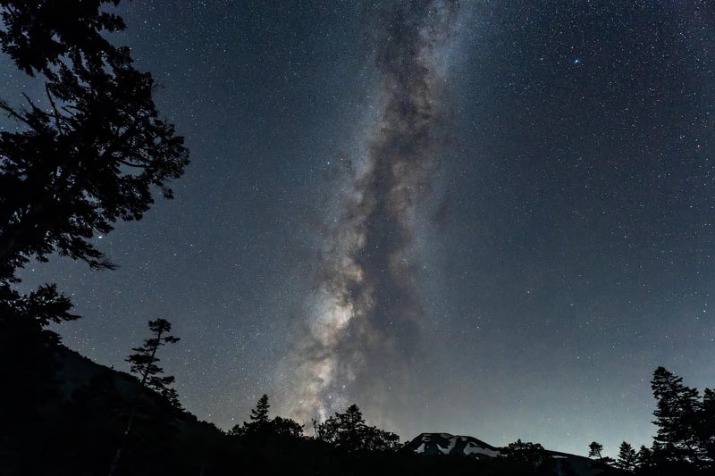 Friends under the stars